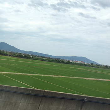 光の館