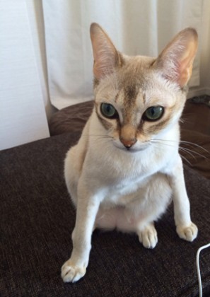 ひとりごと