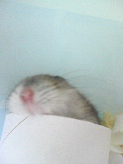 えぇっ?(OДo`;)!!?