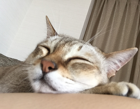 久しぶりに