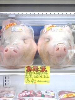 ギャァーーーーー(￥△￥;)