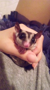 やっぱり…
