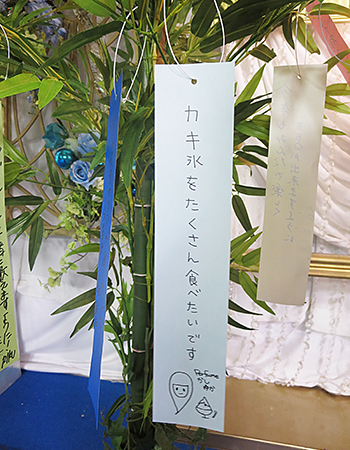 願いが叶った夏♪