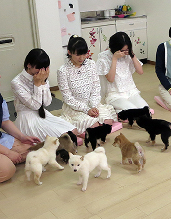 愛しくて…