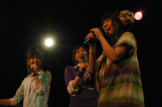 P.T.A. TV情報！！