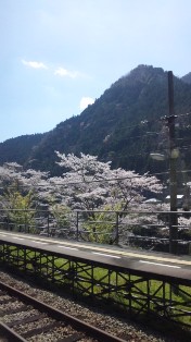 ★高知★