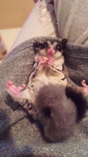 可愛すぎるタム♪