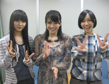 「P.T.A.」リニューアルいたしました！