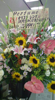 おめでとうございますっ！！