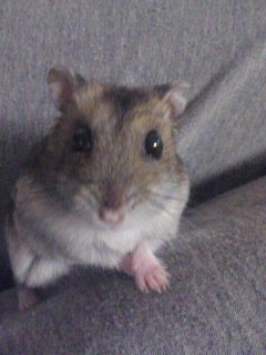 久しぶりんちょ♪