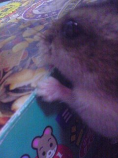 ガブッ