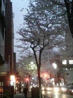 さーくら〜ひら〜ひら〜