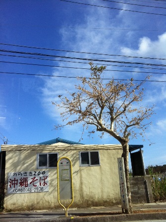 LAから帰ってきたよー！！